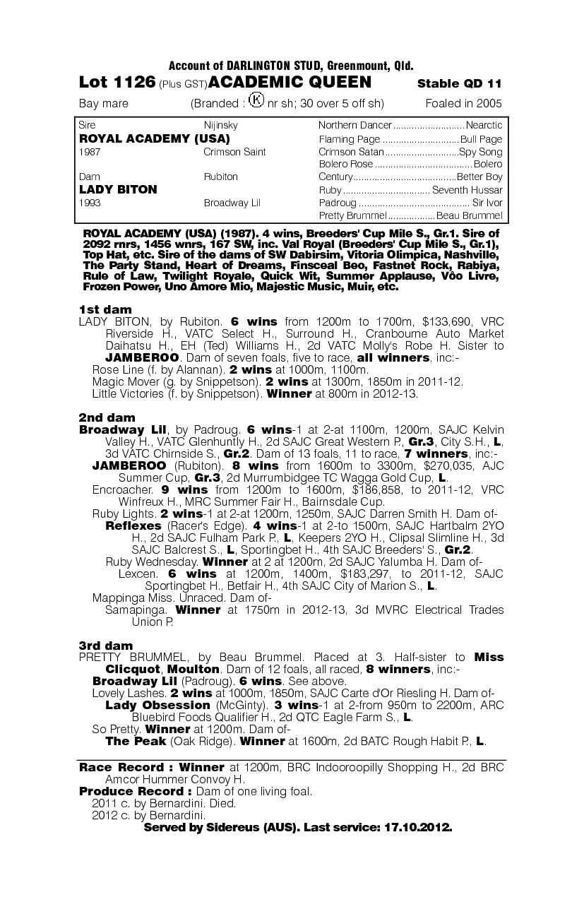 Academic Queen - pedigree