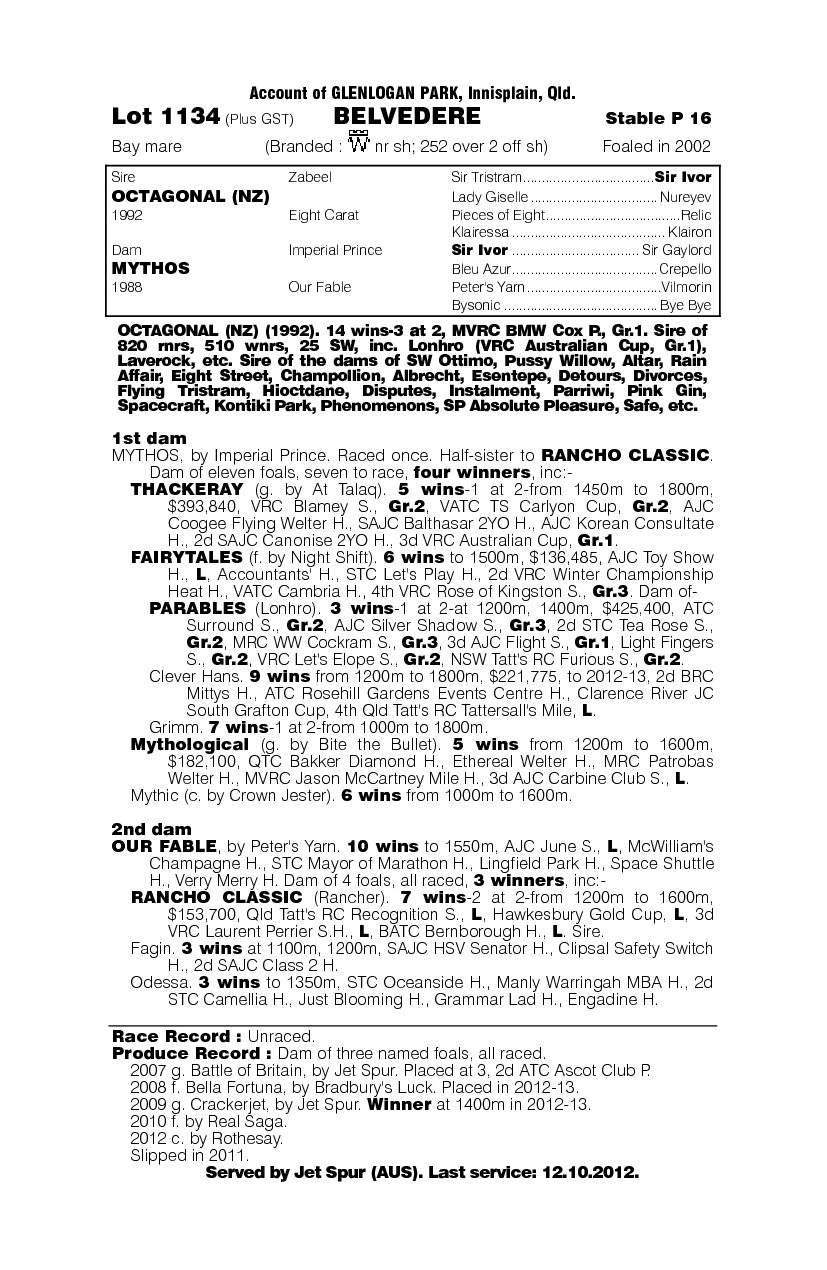 Belvedere - pedigree