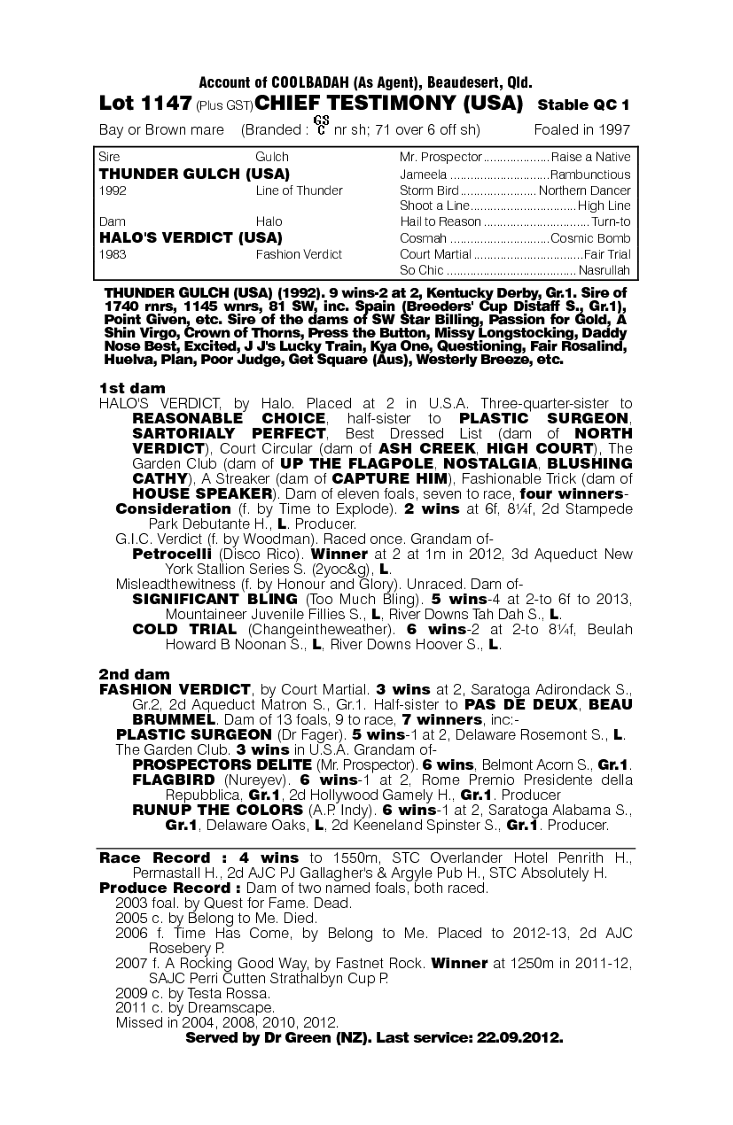 Chief Testimony (USA) - pedigree