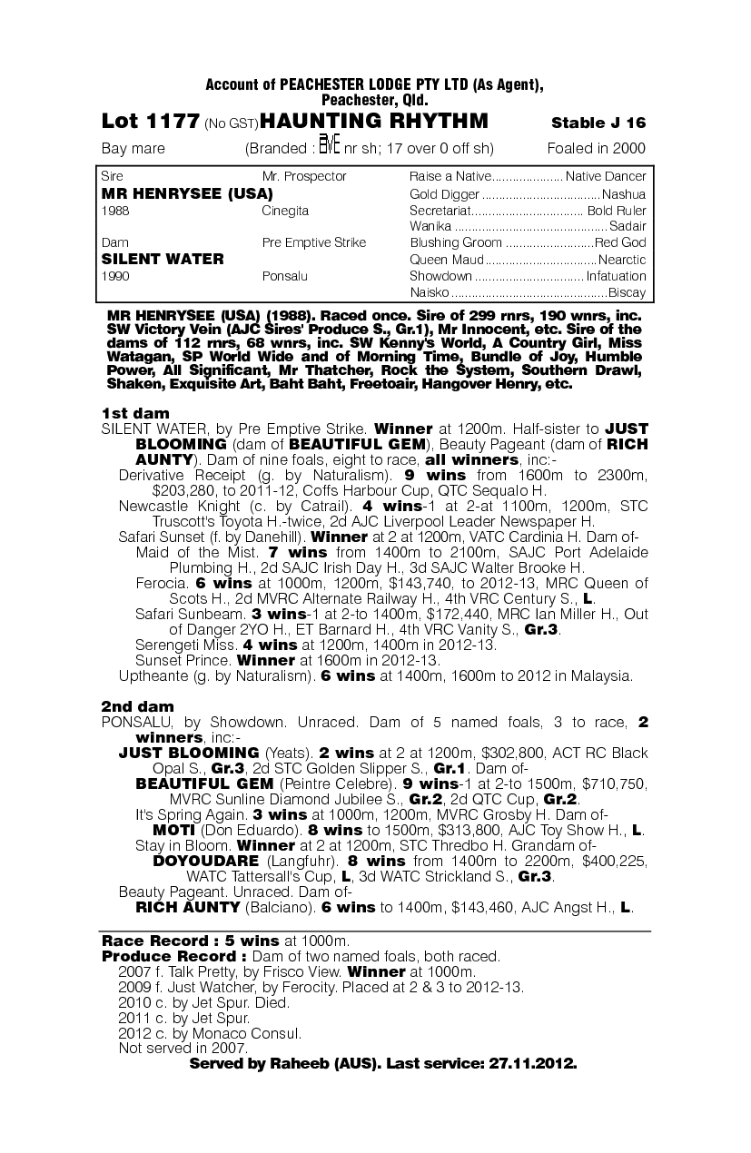 Haunting Rhythm - pedigree