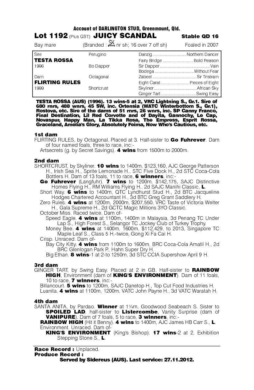 Juicy Scandal - pedigree