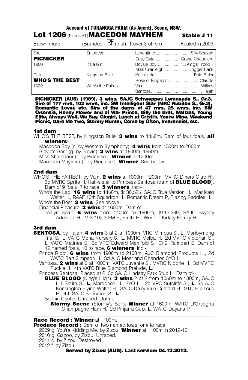 Macedon Mayhem (AUS) - pedigree