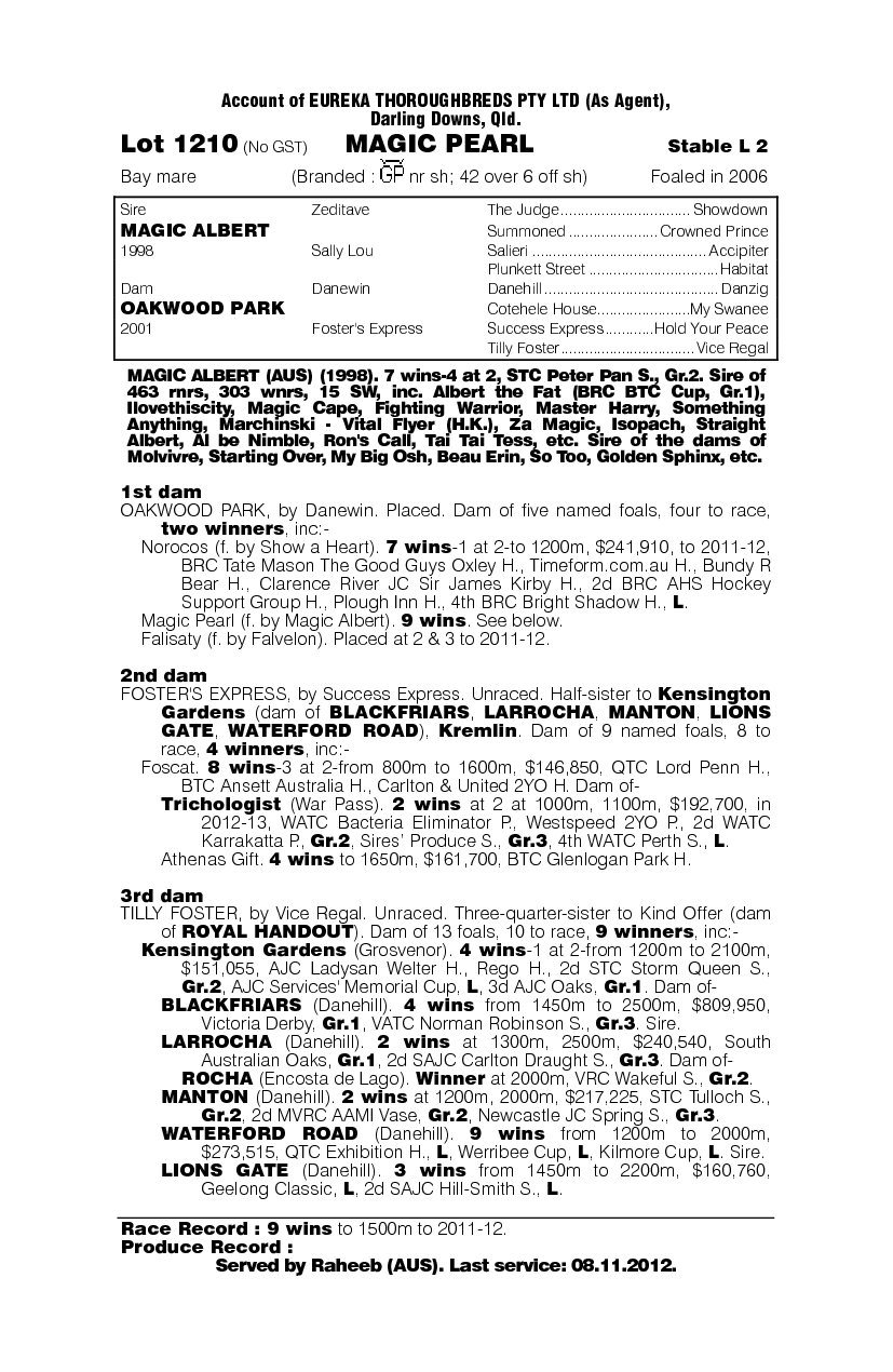 Magic Pearl - pedigree