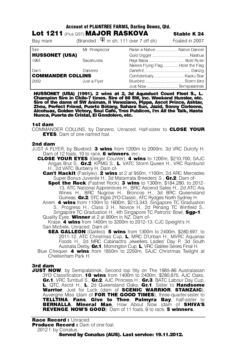 Major Raskova - pedigree