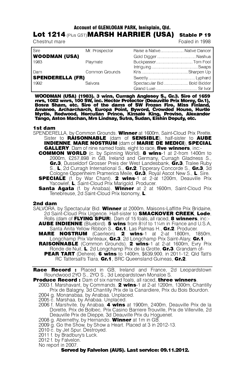 Marsh Harrier (USA) - pedigree