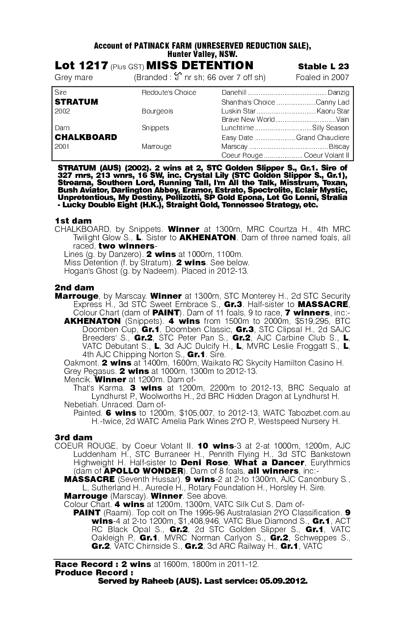 Miss Detention - pedigree