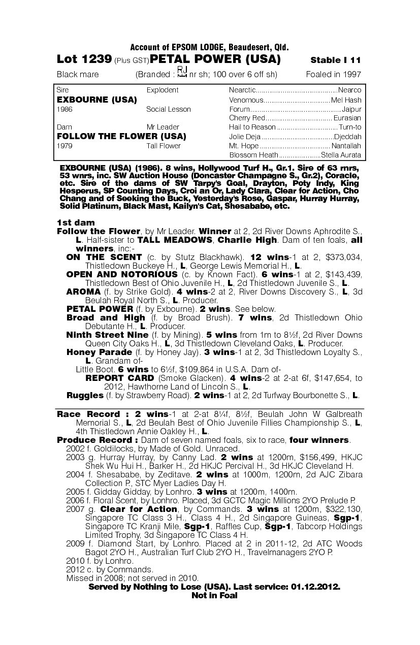 Petal Power (USA) - pedigree