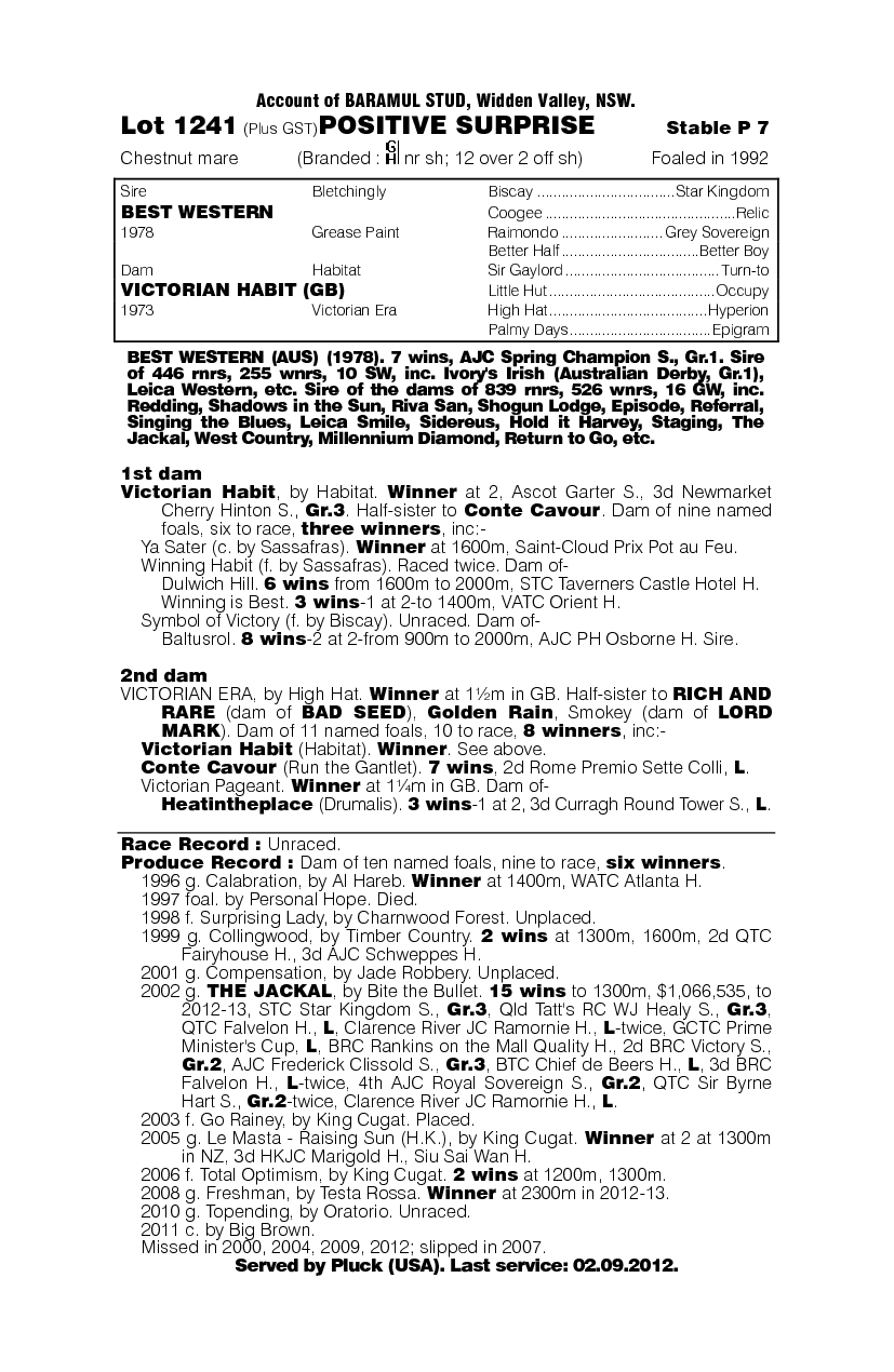 Positive Surprise - pedigree