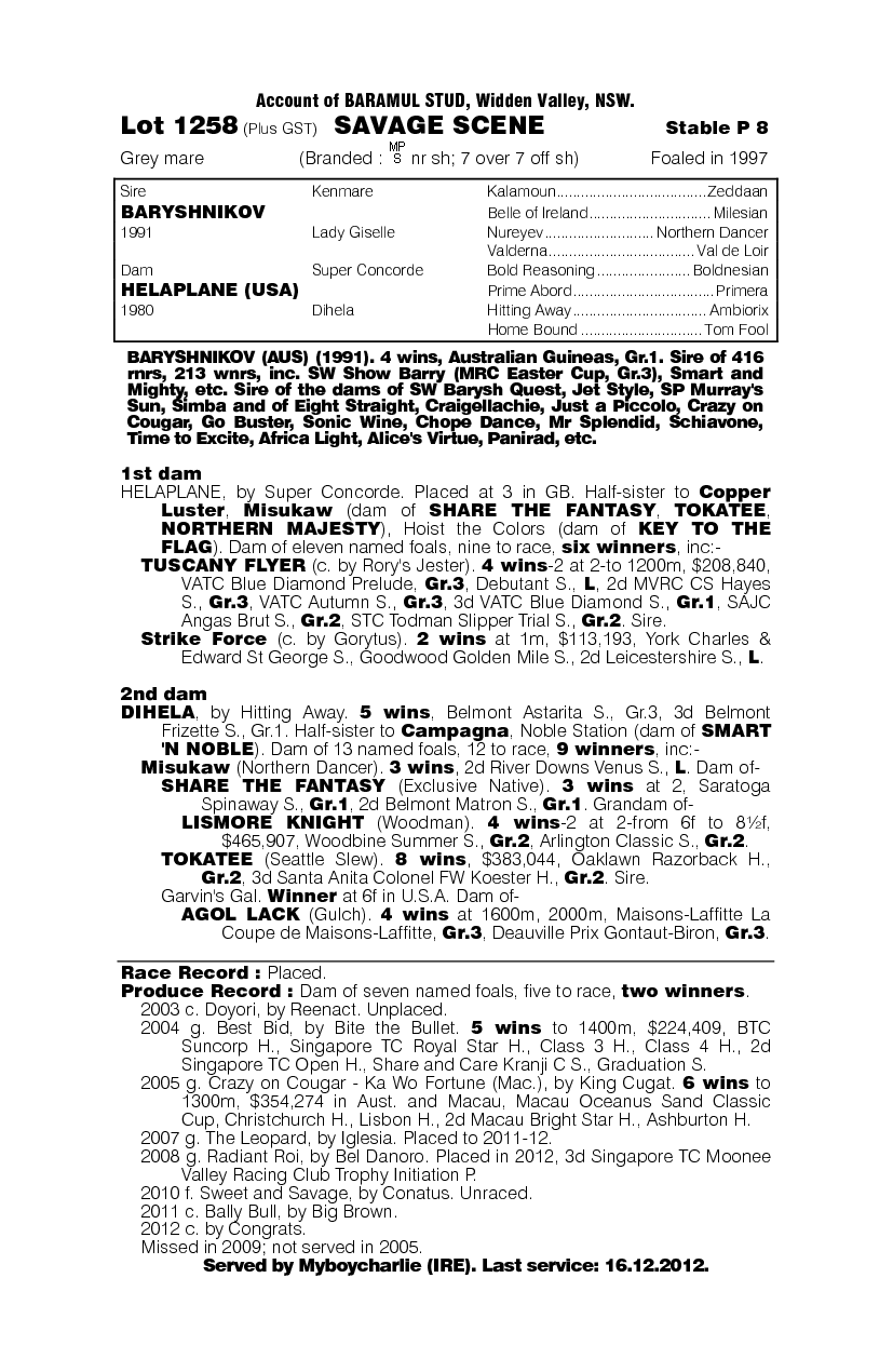 Savage Scene - pedigree