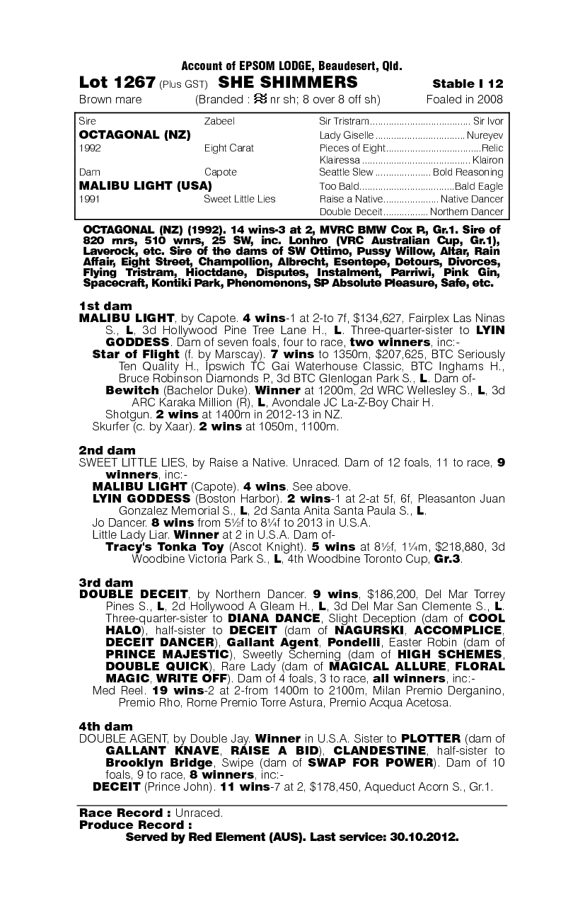 She Shimmers - pedigree