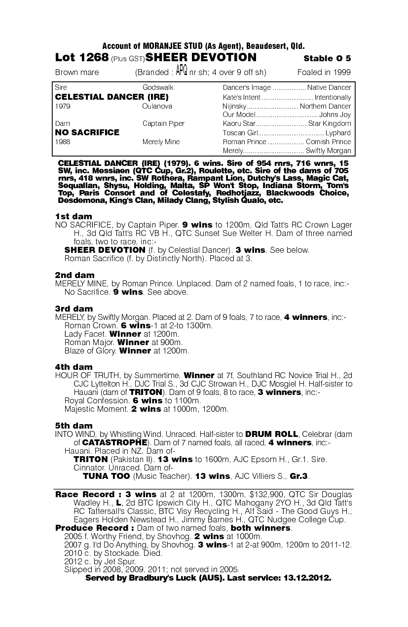 Sheer Devotion - pedigree