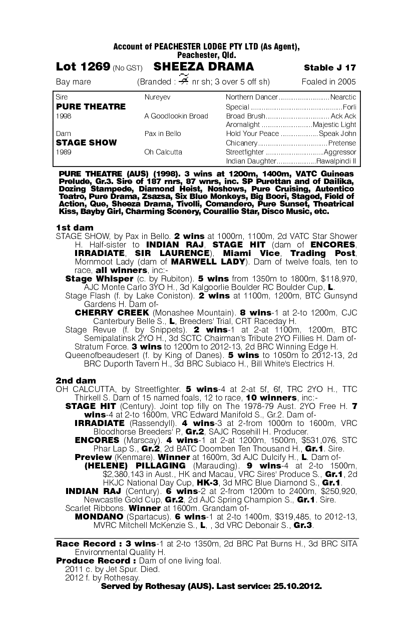 Sheeza Drama (AUS) - pedigree