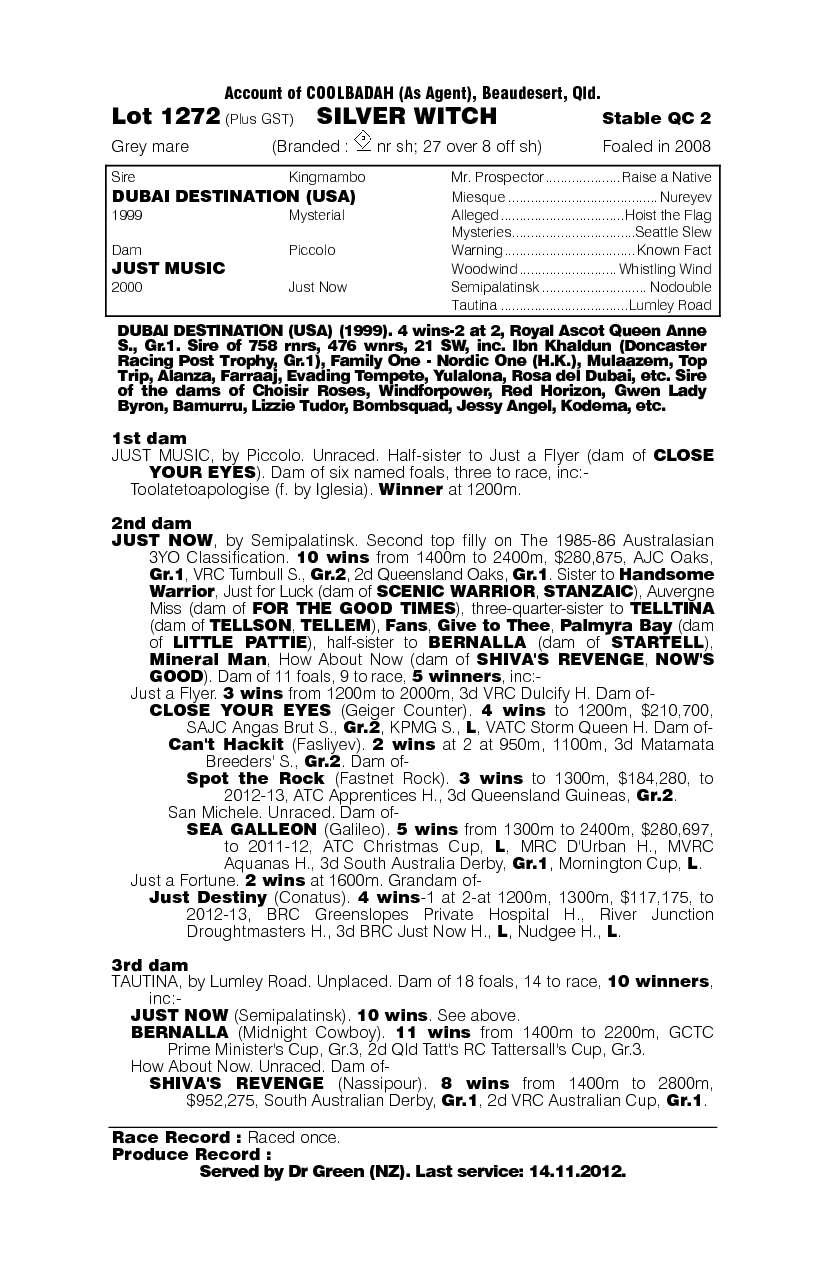 Silver Witch - pedigree