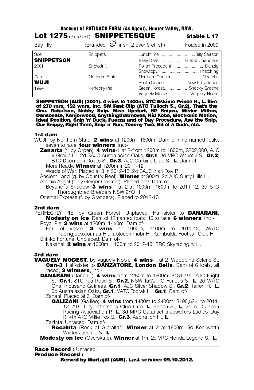 Snippetesque - pedigree