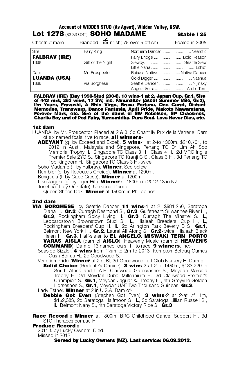 Soho Madame - pedigree