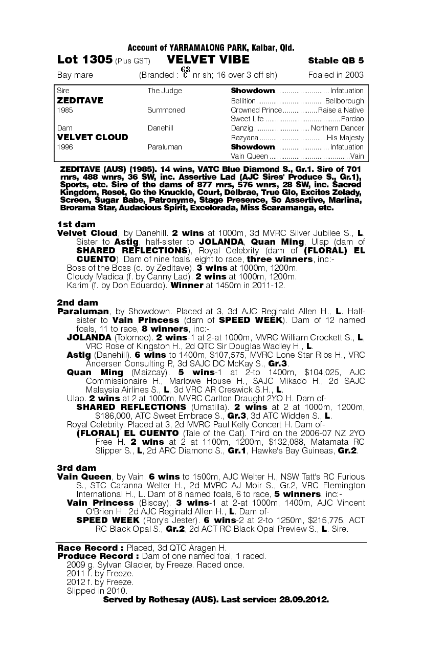 Velvet Vibe - pedigree