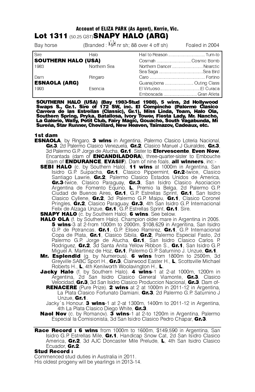 Snapy Halo (ARG) - pedigree