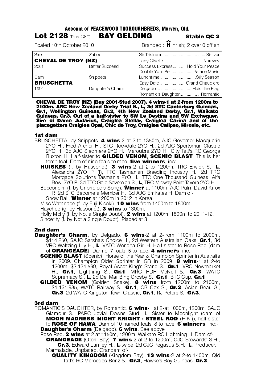 Cheval De Troy (NZ) / Bruschetta (AUS) - pedigree