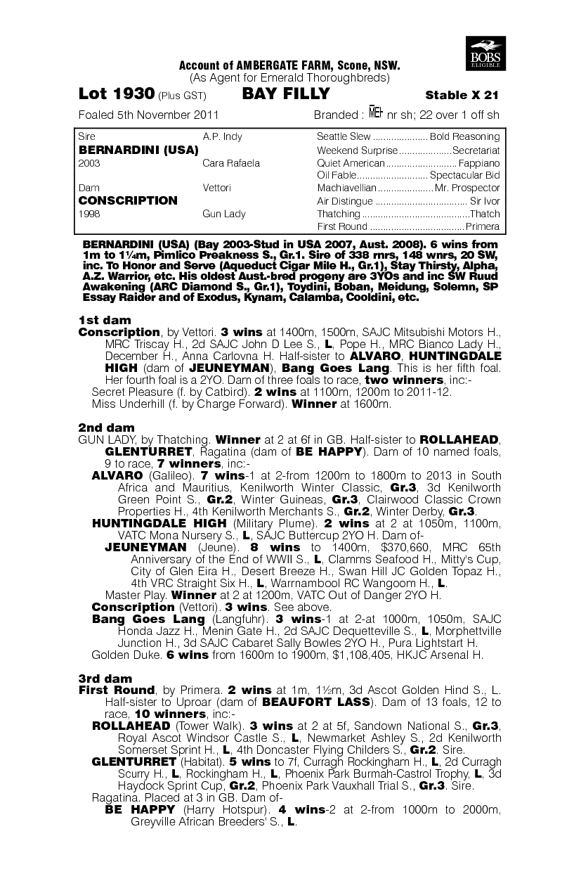 Bernardini (USA) / Conscription (AUS) - pedigree