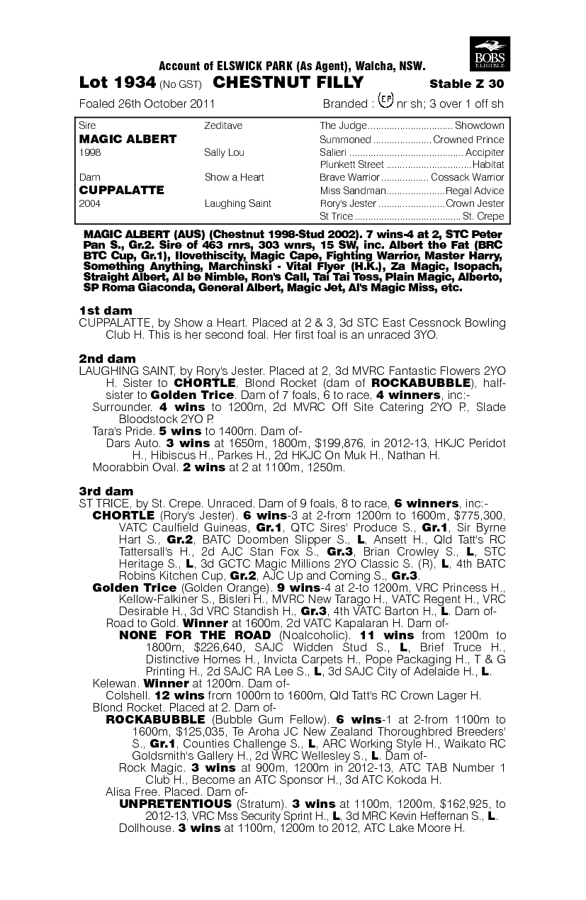 Magic Cup (AUS) - pedigree