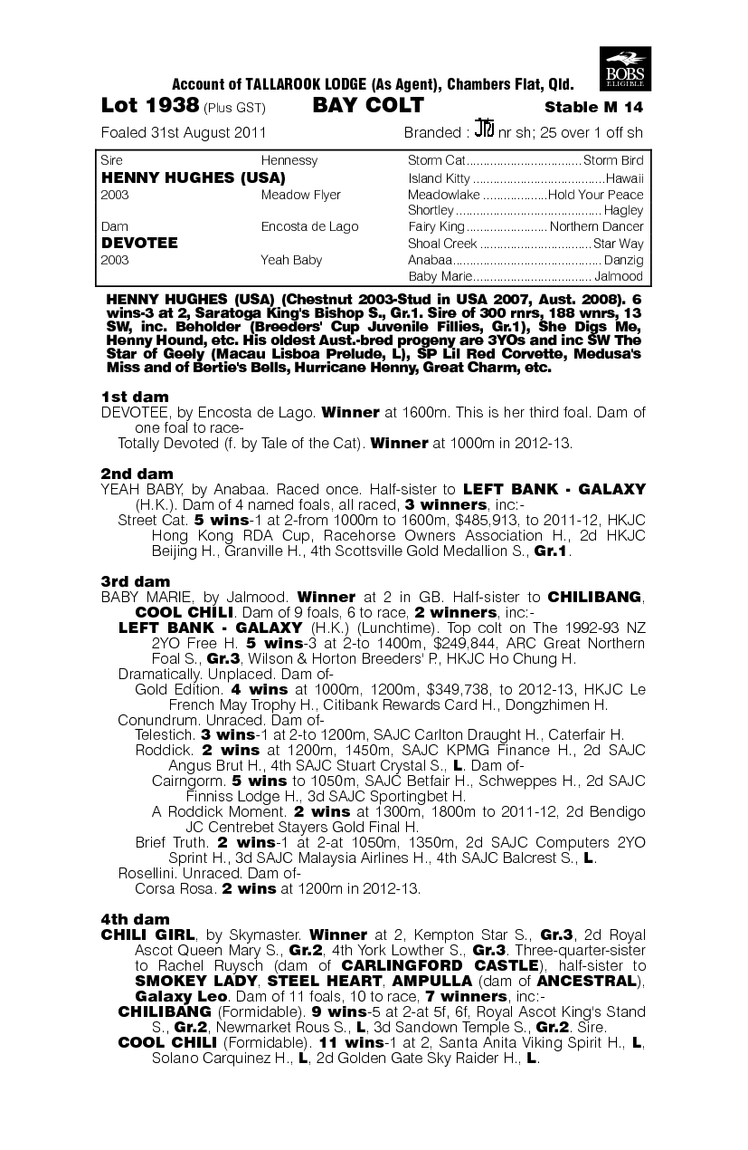 Dehughes (AUS) - pedigree