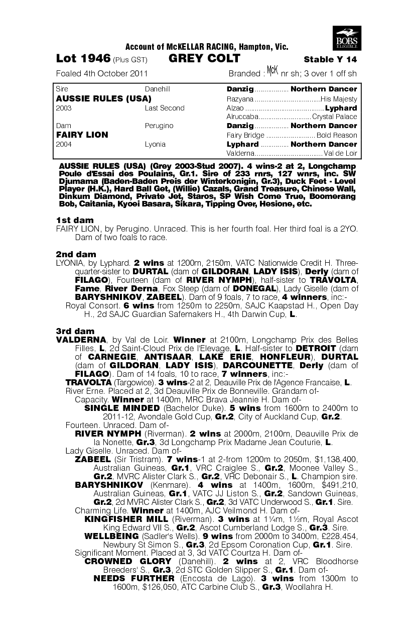 Aussie Lion (AUS) - pedigree