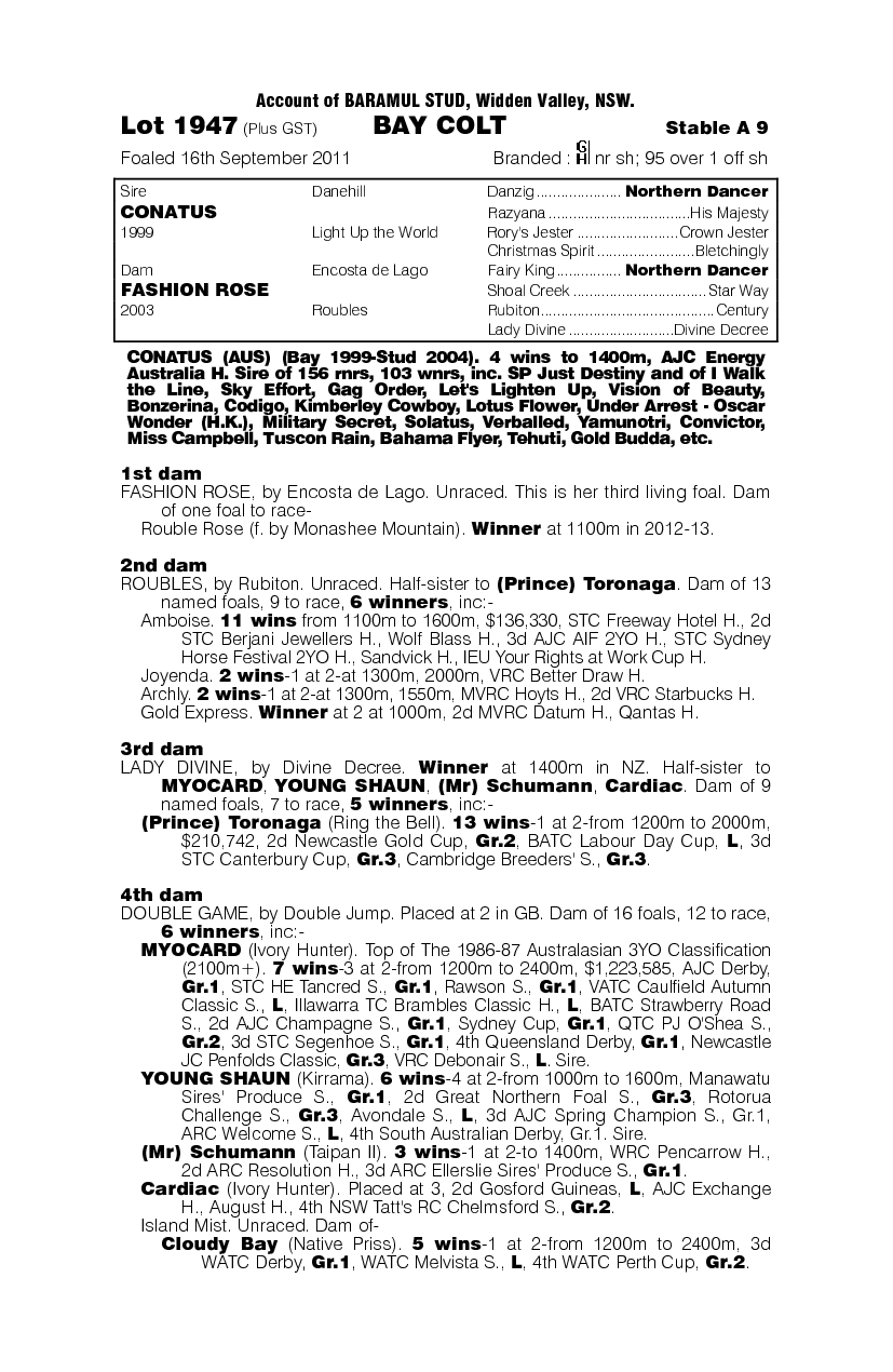 Conatus (AUS) / Fashion Rose (AUS) - pedigree