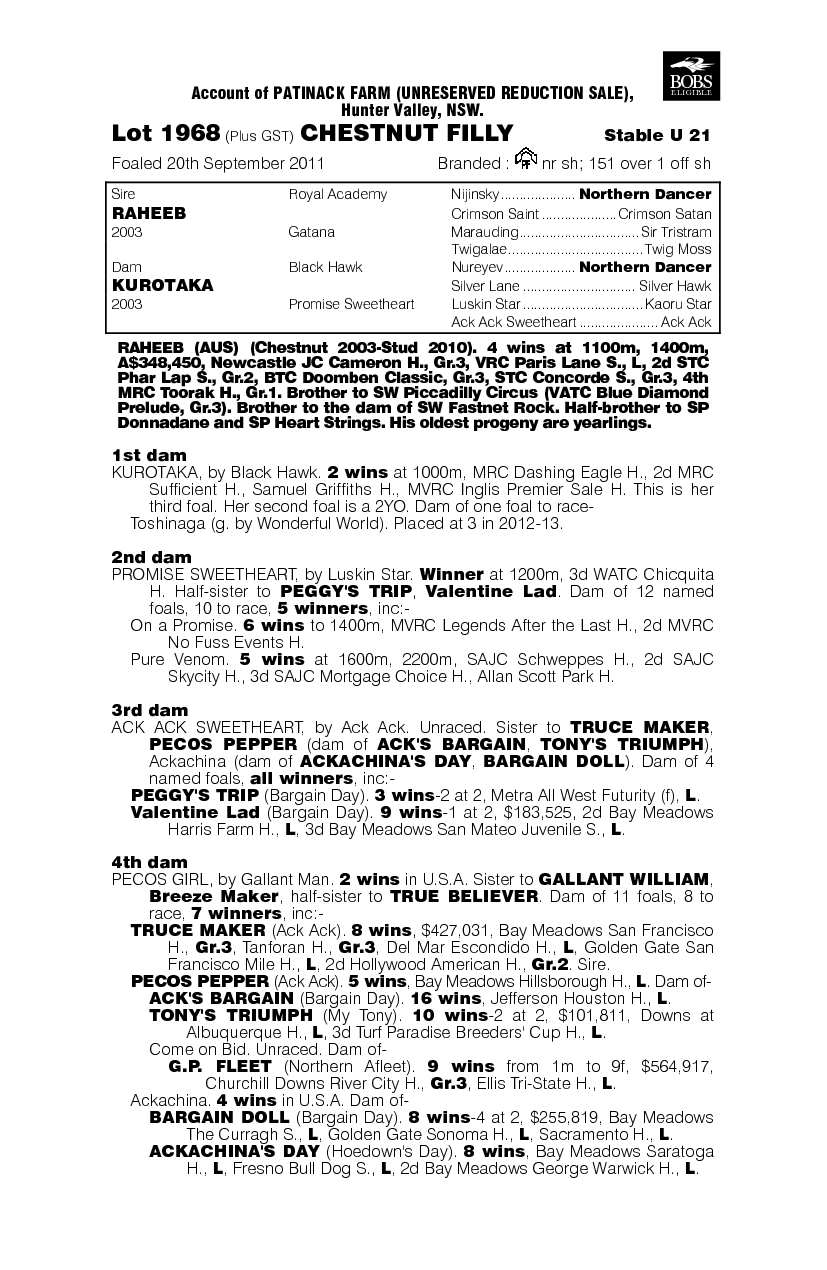 Arabian Falcon (AUS) - pedigree
