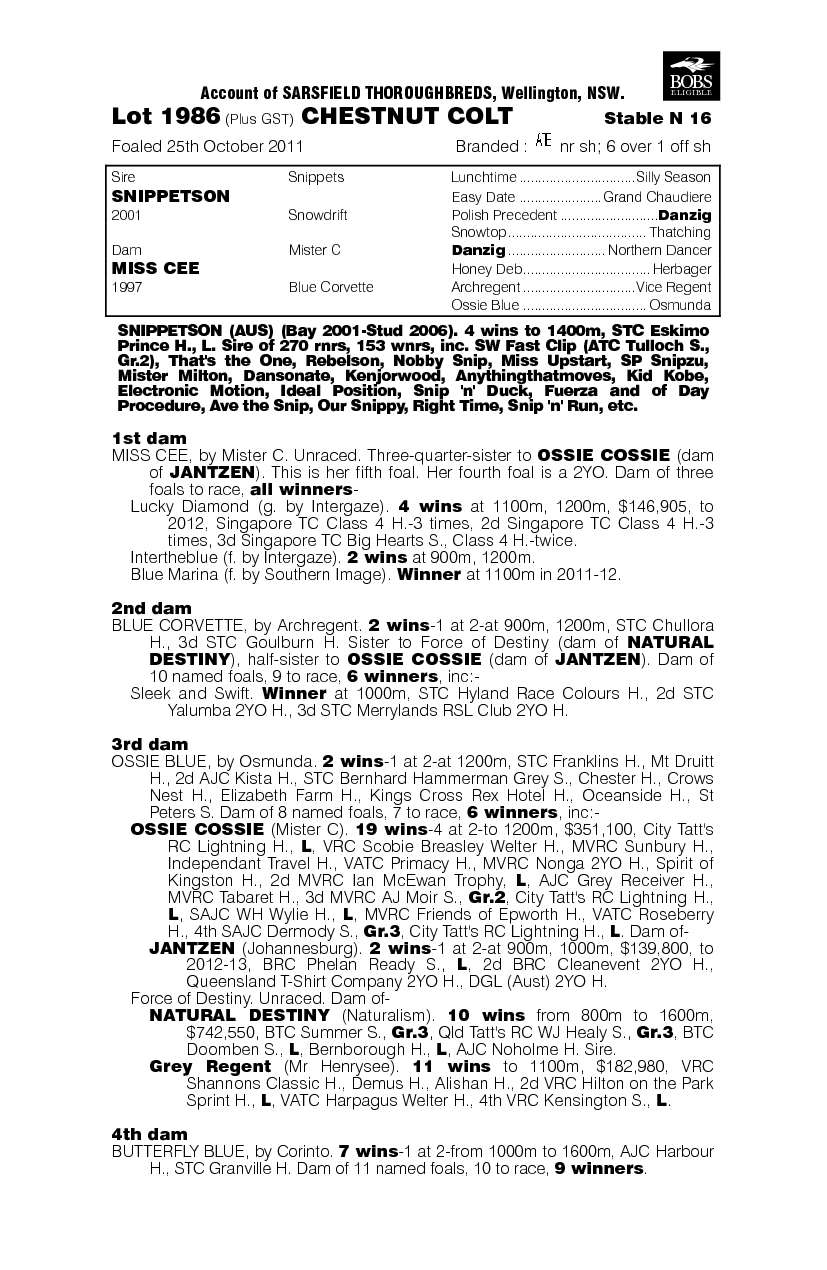Ossie Snip (AUS) - pedigree
