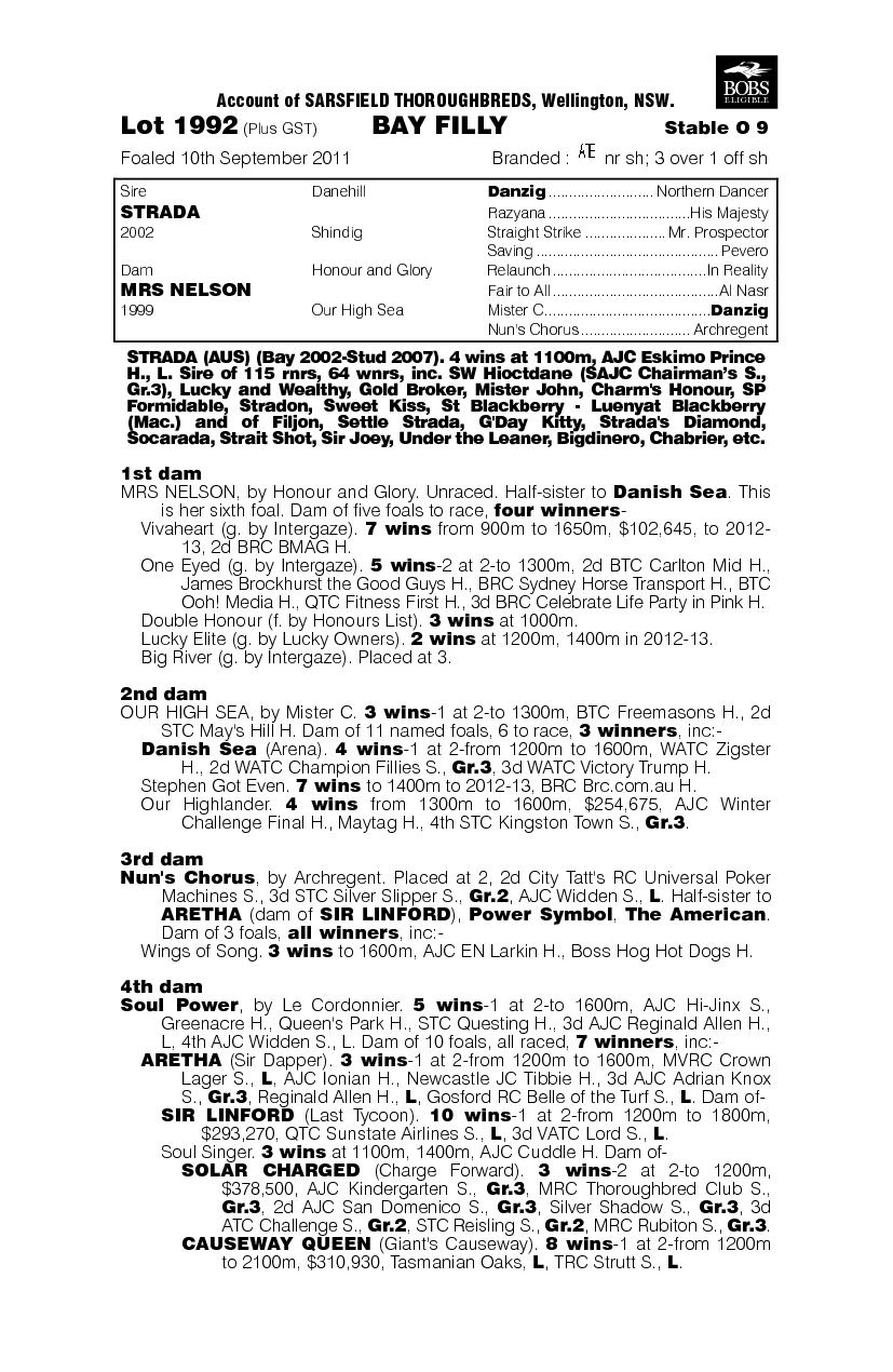 Stir It Up (AUS) - pedigree