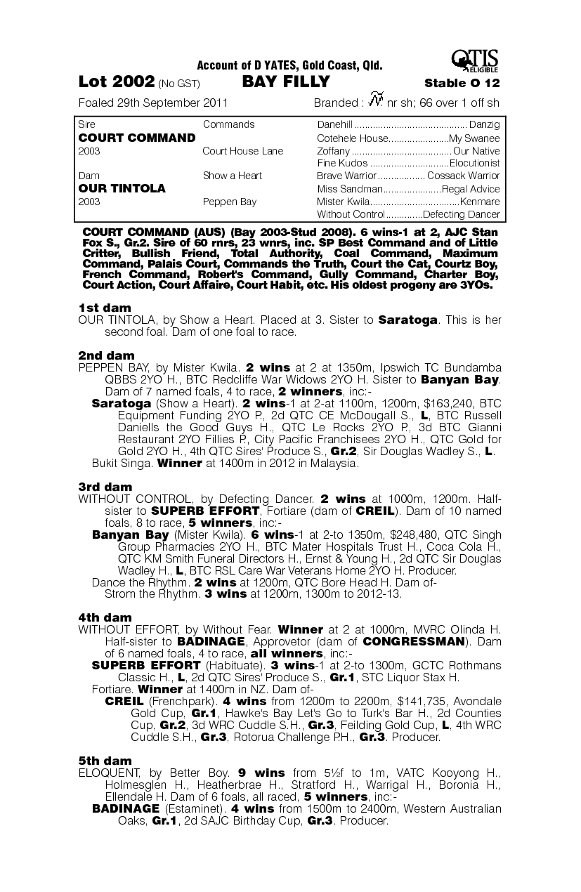 Court Command (AUS) / Our Tintola (AUS) - pedigree
