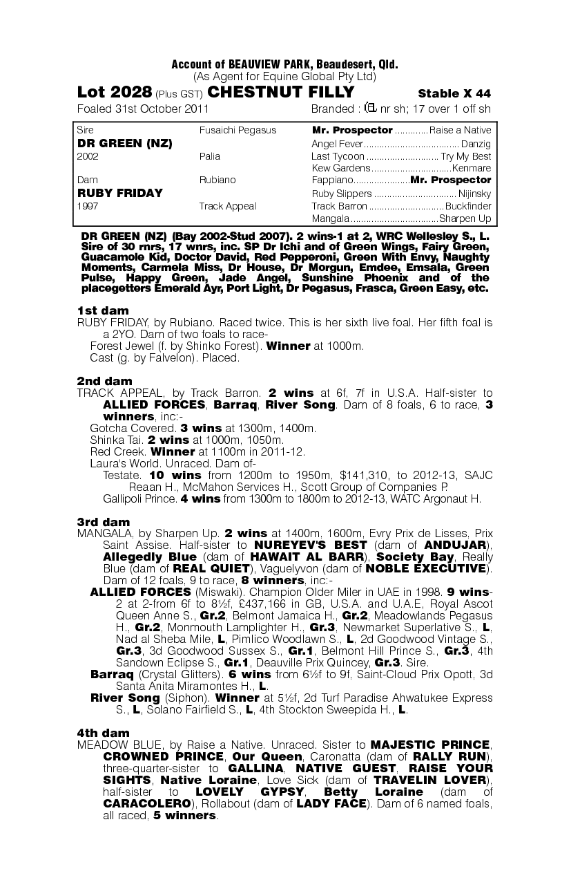 Dr Green (NZ) / Ruby Friday (AUS) - pedigree
