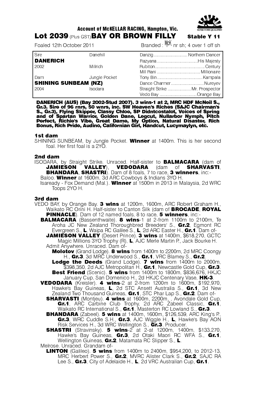 Shining Rocket (AUS) - pedigree