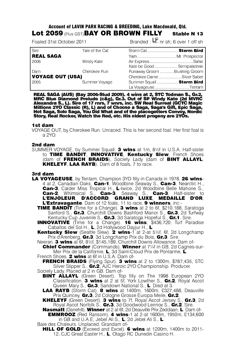 Tibrachino (AUS) - pedigree