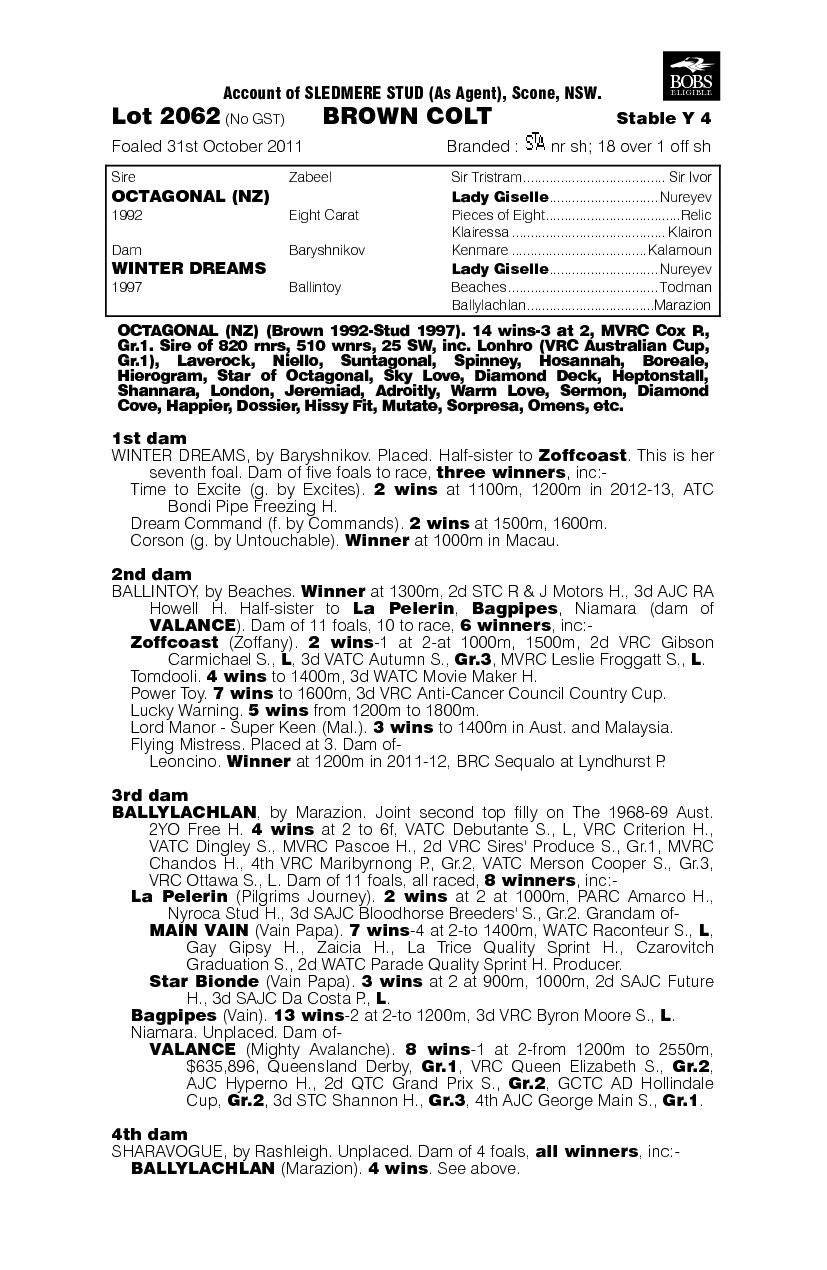 Eighth Dragon (AUS) - pedigree