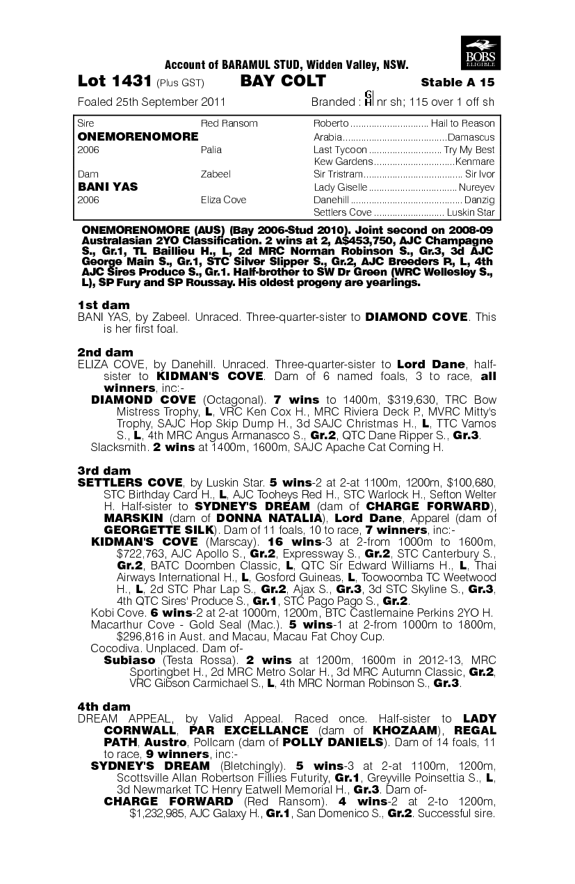 More Soccer (AUS) - pedigree