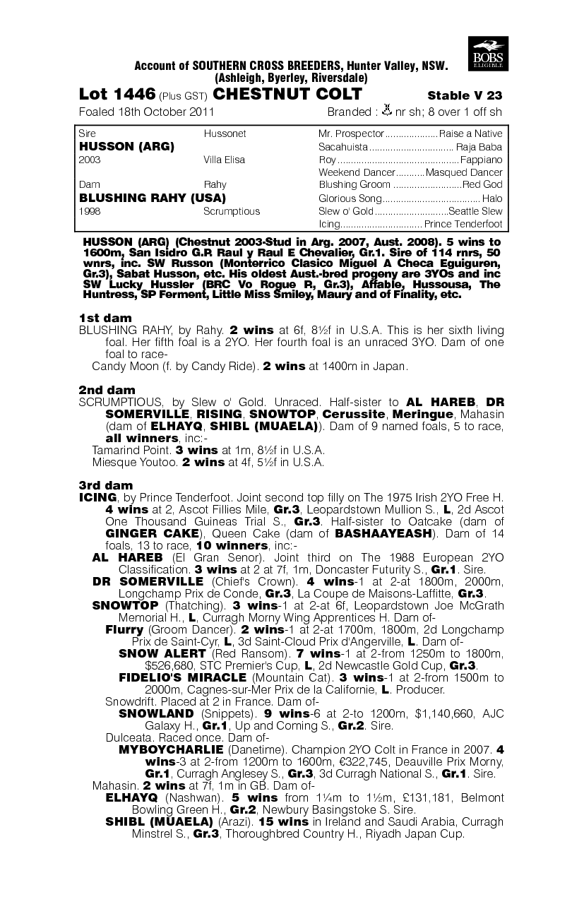 Buckin The Blues (AUS) - pedigree