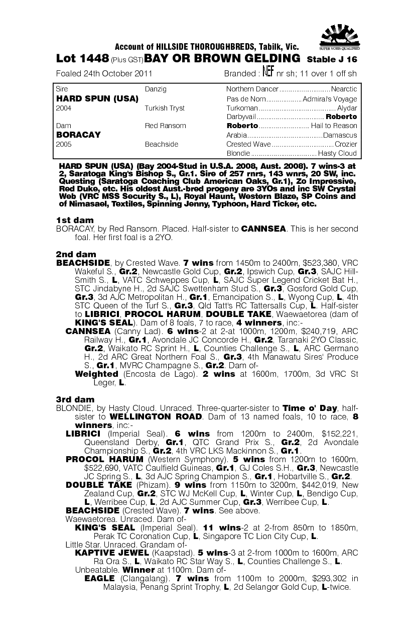 Iron Spider (AUS) - pedigree