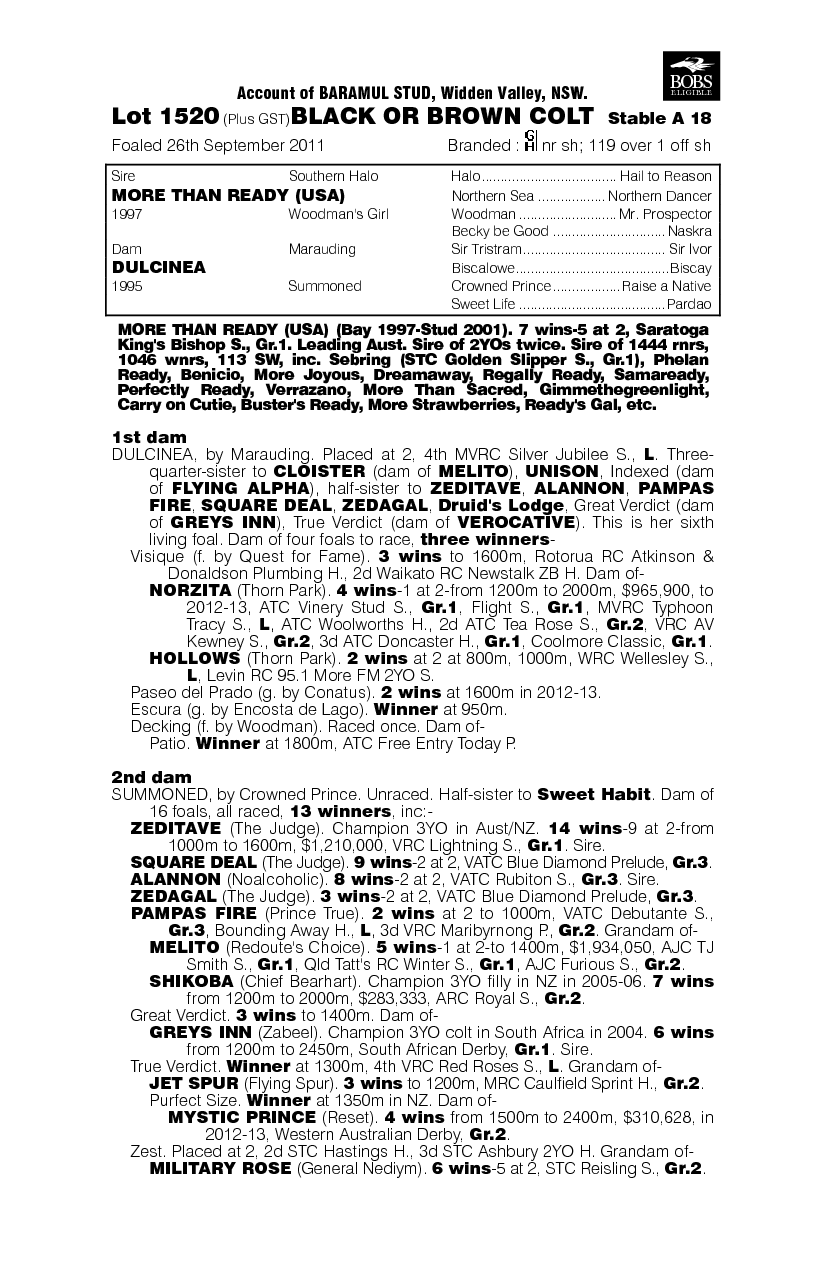 Ready To Run (AUS) - pedigree