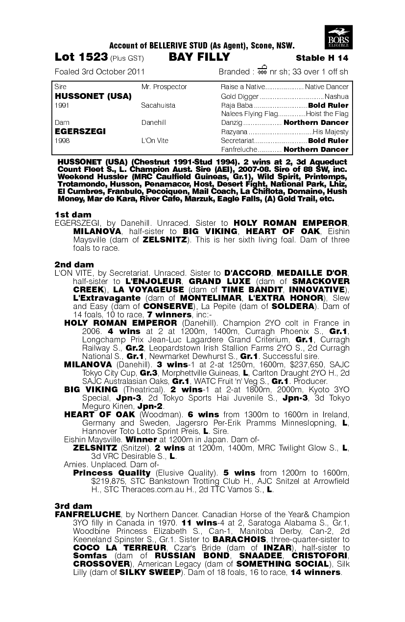 Nitouche (AUS) - pedigree