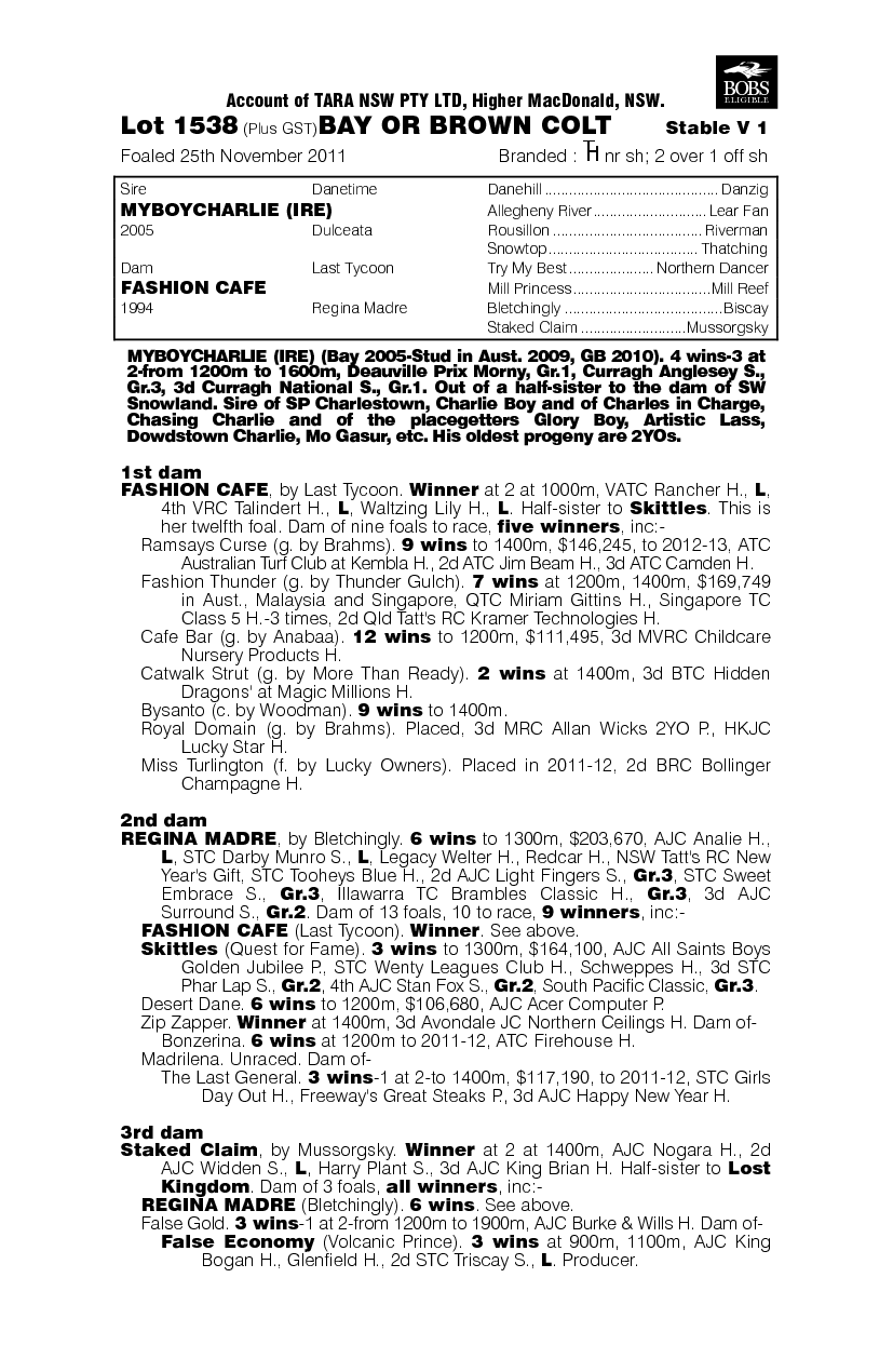 Myboycharlie (IRE) / Fashion Cafe (AUS) - pedigree