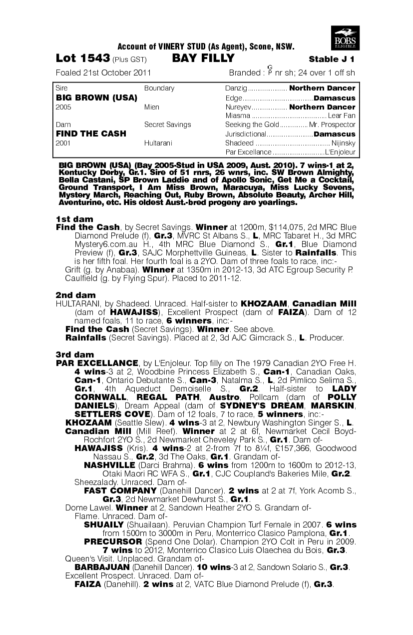 Adayondek (AUS) - pedigree