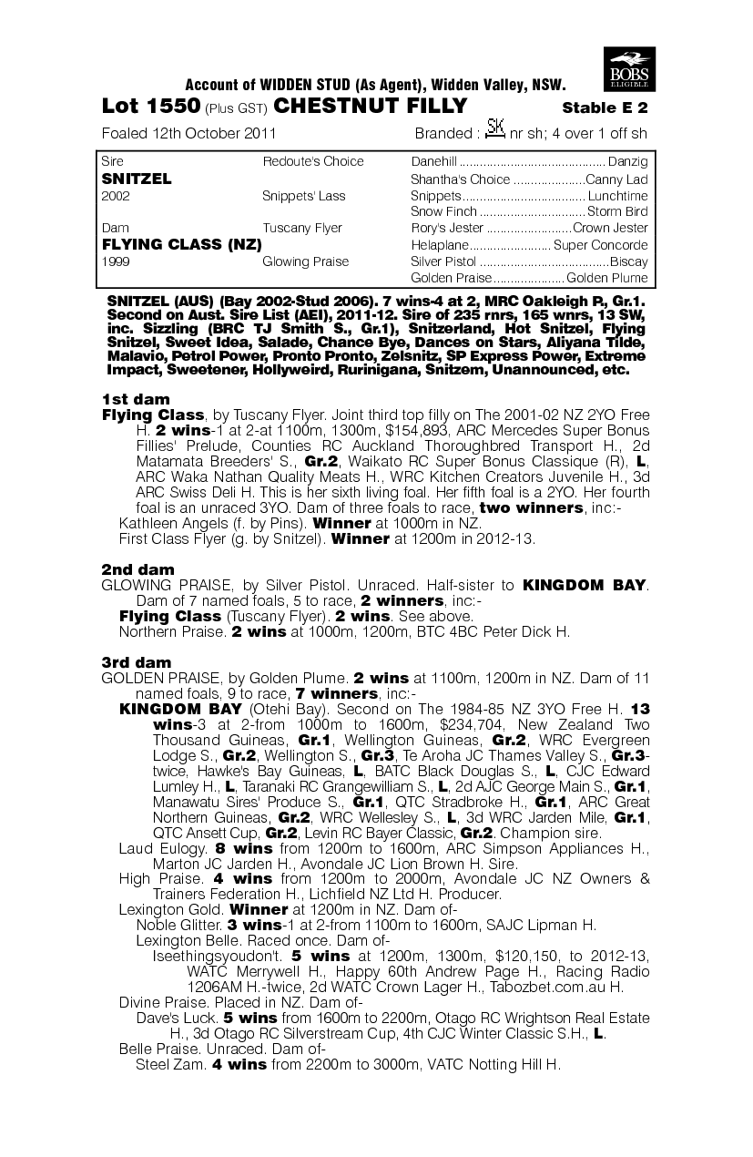 Snitzel's Lass (AUS) - pedigree