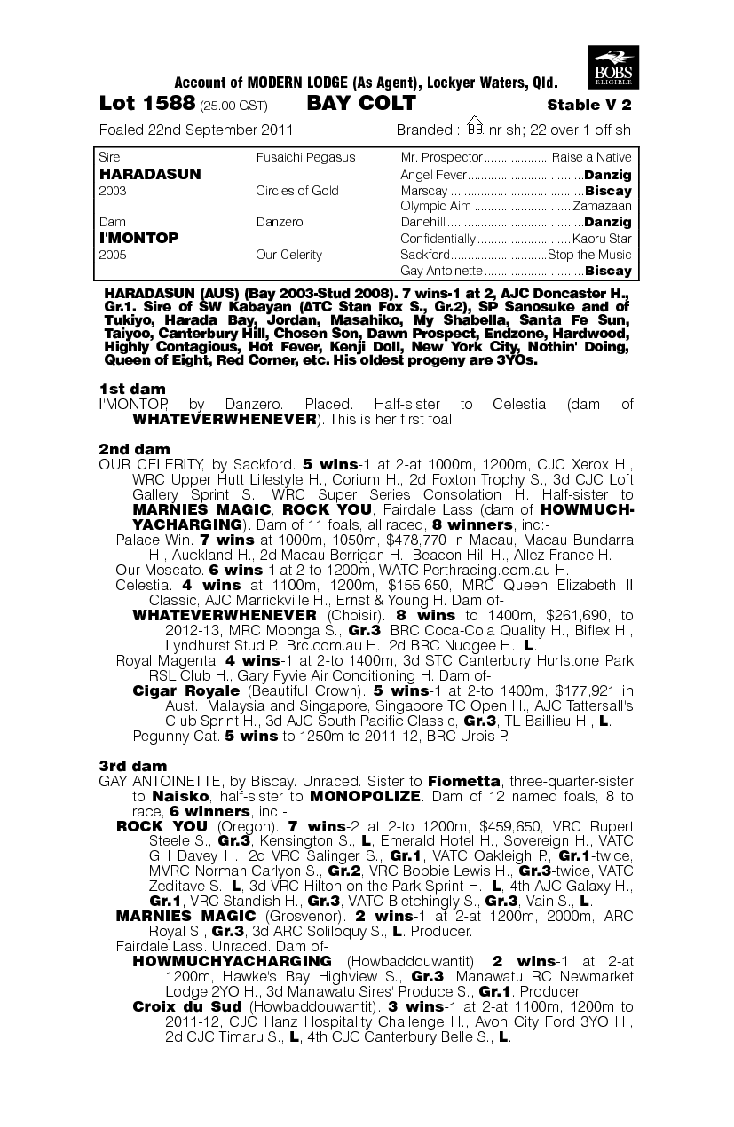 Haradasun (AUS) / I'montop (AUS) - pedigree