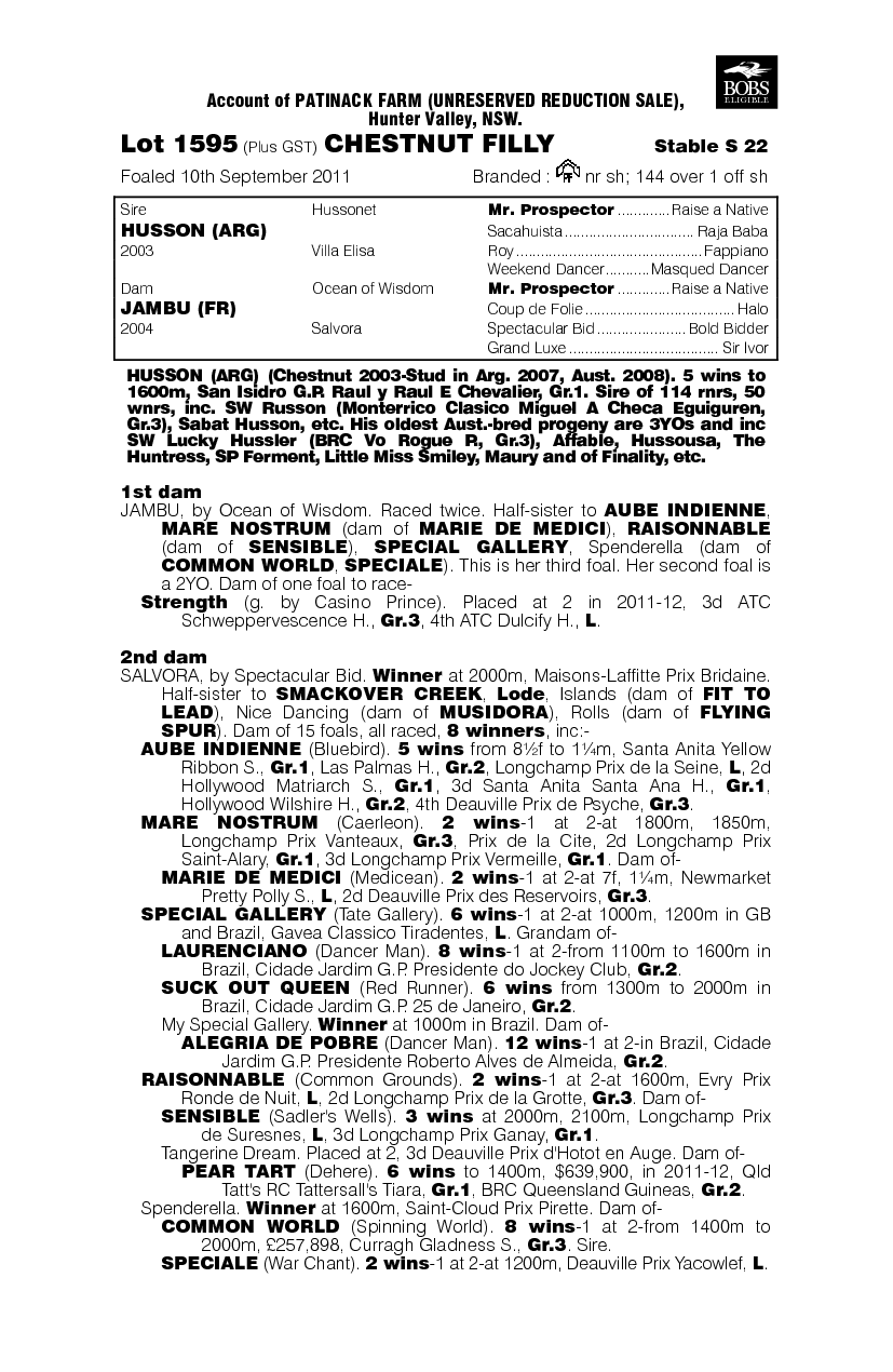 Orangutan (AUS) - pedigree