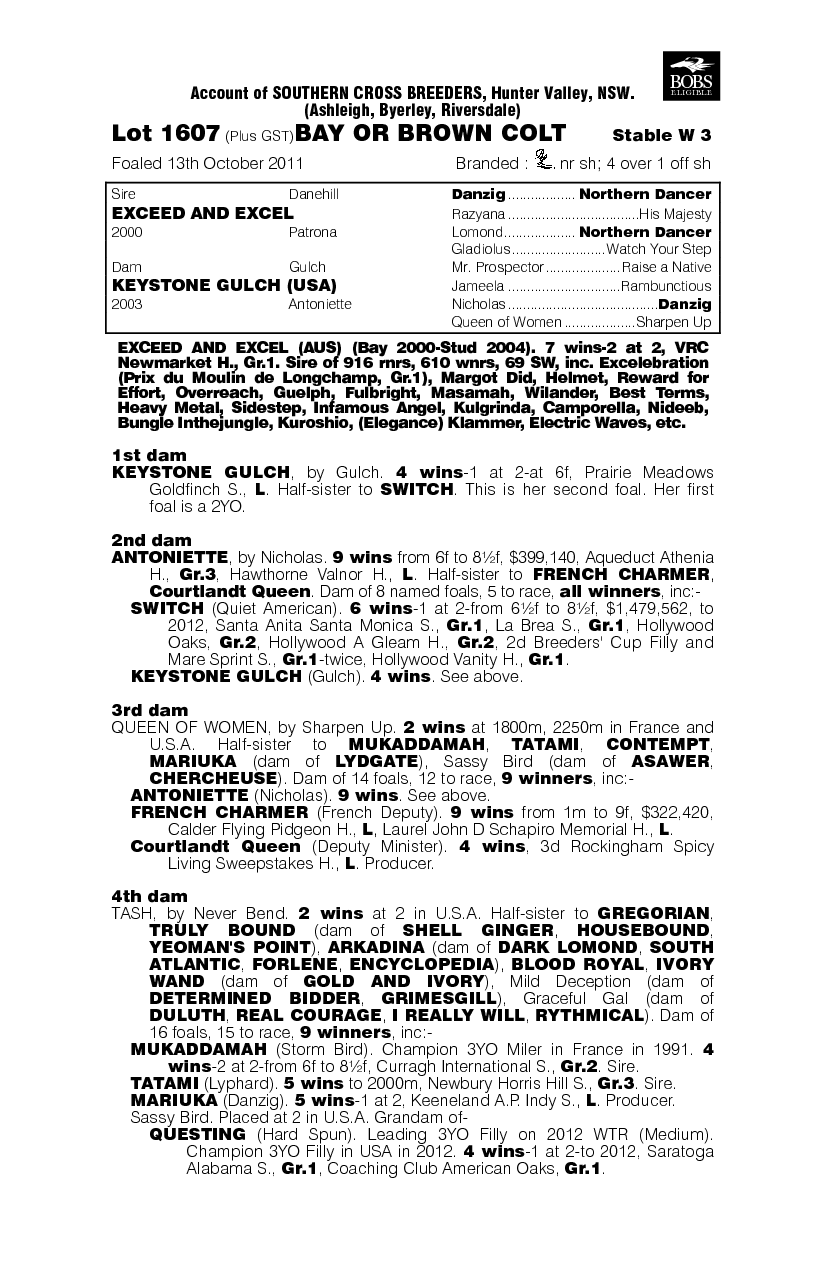 Exceedingly Excel (AUS) - pedigree