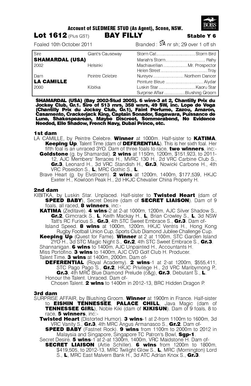 Shamfrancisco (AUS) - pedigree