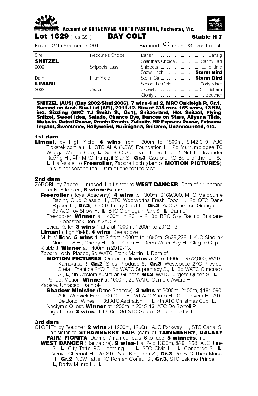 Come At Me (AUS) - pedigree