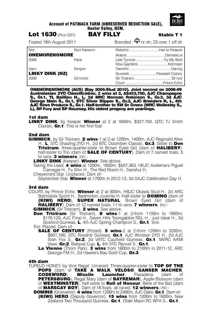 No More Attitude (AUS) - pedigree