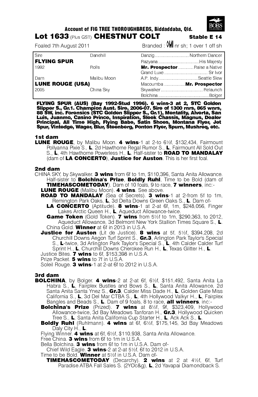 Thunderstroke (AUS) - pedigree